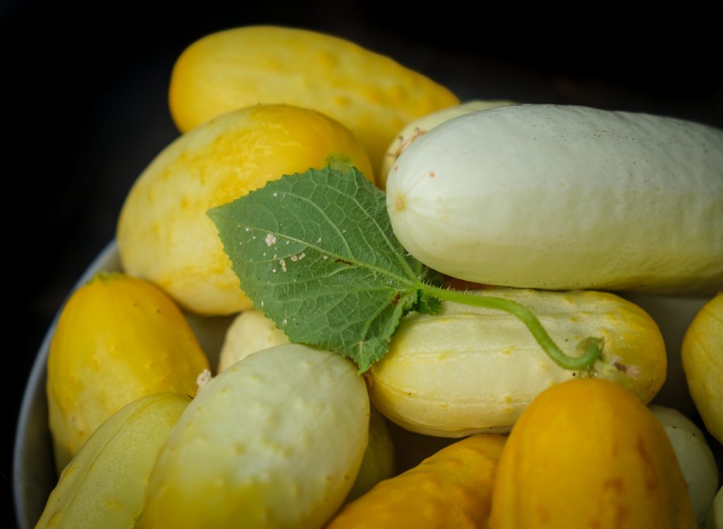 A pile of miniature white cucumbers