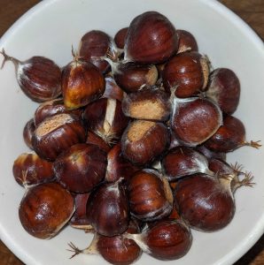 A bowl of sweet chestnuts